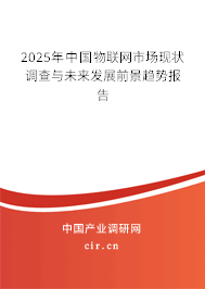2025年中國物聯(lián)網(wǎng)市場現(xiàn)狀調(diào)查與未來發(fā)展前景趨勢報(bào)告