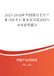 2025-2031年中國(guó)醫(yī)療衛(wèi)生產(chǎn)業(yè)IT技術(shù)行業(yè)發(fā)展深度調(diào)研與未來(lái)趨勢(shì)報(bào)告
