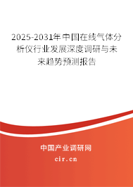 2025-2031年中國在線氣體分析儀行業(yè)發(fā)展深度調研與未來趨勢預測報告