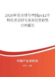 2026年版全球與中國(guó)pa12市場(chǎng)現(xiàn)狀調(diào)研與發(fā)展前景趨勢(shì)分析報(bào)告