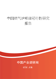 中國燃氣爐項目可行性研究報告 中國燃氣爐項目可行性研究報告