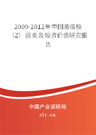 2009-2012年中國激蛋極（Z）調(diào)查及投資價值研究報告