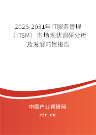 2025-2031年IT服務管理（ITSM）市場現(xiàn)狀調(diào)研分析及發(fā)展前景報告
