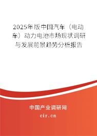 2025年版中國汽車(電動車)動力電池市場現(xiàn)狀調(diào)研與發(fā)展前景趨勢分析報告 2025年版中國汽車(電動車)動力電池市場現(xiàn)狀調(diào)研與發(fā)展前景趨勢分析報告