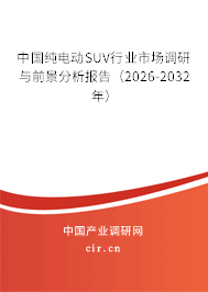 中國純電動SUV行業(yè)市場調研與前景分析報告（2024-2030年）