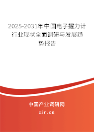 2025-2031年中國電子握力計(jì)行業(yè)現(xiàn)狀全面調(diào)研與發(fā)展趨勢報(bào)告