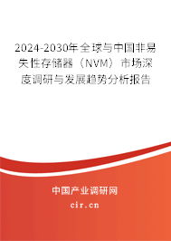2024-2030年全球與中國非易失性存儲(chǔ)器(NVM)市場深度調(diào)研與發(fā)展趨勢分析報(bào)告 2024-2030年全球與中國非易失性存儲(chǔ)器(NVM)市場深度調(diào)研與發(fā)展趨勢分析報(bào)告