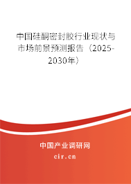 中國硅酮密封膠行業(yè)現狀與市場前景預測報告（2025-2030年）