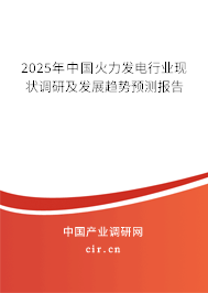 2025年中國火力發(fā)電行業(yè)現(xiàn)狀調(diào)研及發(fā)展趨勢預(yù)測報告