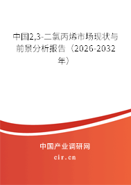 中國2,3-二氯丙烯市場現(xiàn)狀與前景分析報告（2026-2032年）