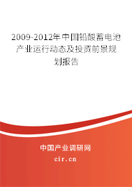 2009-2012年中國鉛酸蓄電池產(chǎn)業(yè)運(yùn)行動(dòng)態(tài)及投資前景規(guī)劃報(bào)告