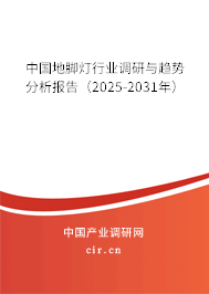 中國(guó)地腳燈行業(yè)調(diào)研與趨勢(shì)分析報(bào)告(2024-2030年) 中國(guó)地腳燈行業(yè)調(diào)研與趨勢(shì)分析報(bào)告(2024-2030年)