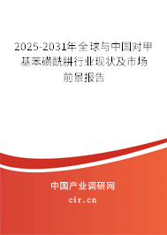 2025-2031年全球與中國(guó)對(duì)甲基苯磺酰肼行業(yè)現(xiàn)狀及市場(chǎng)前景報(bào)告