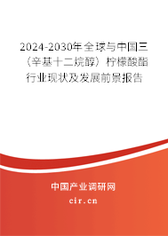 2024-2030年全球與中國(guó)三（辛基十二烷醇）檸檬酸酯行業(yè)現(xiàn)狀及發(fā)展前景報(bào)告