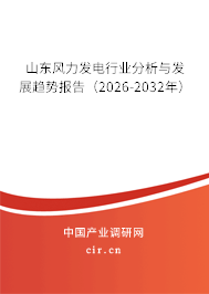 山東風力發(fā)電行業(yè)分析與發(fā)展趨勢報告（2026-2032年）