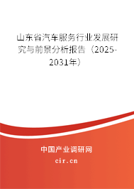 山東省汽車服務(wù)行業(yè)發(fā)展研究與前景分析報(bào)告（2025-2031年）