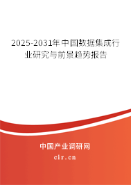 2025-2031年中國(guó)數(shù)據(jù)集成行業(yè)研究與前景趨勢(shì)報(bào)告