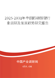 2025-2031年中國四硼酸鋰行業(yè)調(diào)研及發(fā)展趨勢研究報(bào)告