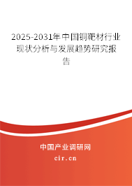 2025-2031年中國(guó)銅靶材行業(yè)現(xiàn)狀分析與發(fā)展趨勢(shì)研究報(bào)告