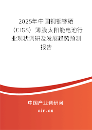 2025年中國銅銦鎵硒（CIGS）薄膜太陽能電池行業(yè)現(xiàn)狀調(diào)研及發(fā)展趨勢預(yù)測報(bào)告