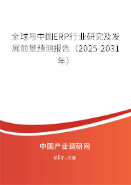 全球與中國ERP行業(yè)研究及發(fā)展前景預(yù)測報告（2025-2031年）