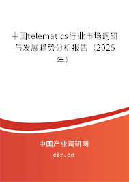 中國telematics行業(yè)市場調(diào)研與發(fā)展趨勢分析報告（2025年）
