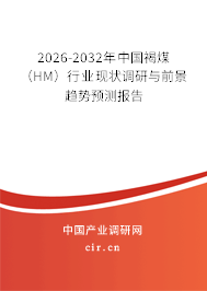 2026-2032年中國褐煤（HM）行業(yè)現(xiàn)狀調研與前景趨勢預測報告
