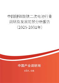 中國(guó)鋰磷酸鐵二次電池行業(yè)調(diào)研及發(fā)展前景分析報(bào)告（2025-2031年）