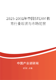 2025-2031年中國STEAM教育行業(yè)現(xiàn)狀與市場前景