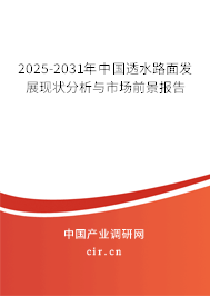 2025-2031年中國(guó)透水路面發(fā)展現(xiàn)狀分析與市場(chǎng)前景報(bào)告