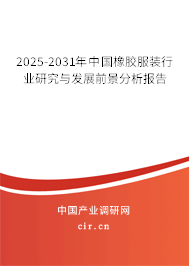 2025-2031年中國橡膠服裝行業(yè)研究與發(fā)展前景分析報告