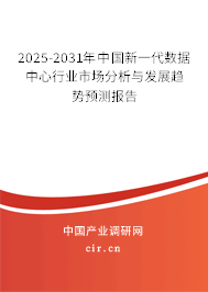 2025-2031年中國新一代數(shù)據(jù)中心行業(yè)市場分析與發(fā)展趨勢預(yù)測報告
