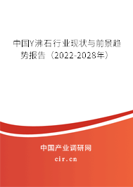 中國Y沸石行業(yè)現(xiàn)狀與前景趨勢報告（2022-2028年）