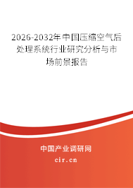 2026-2032年中國壓縮空氣后處理系統(tǒng)行業(yè)研究分析與市場前景報(bào)告