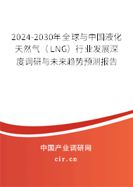 2024-2030年全球與中國液化天然氣（LNG）行業(yè)發(fā)展深度調(diào)研與未來趨勢預測報告
