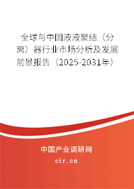 全球與中國液液聚結(jié)（分離）器行業(yè)市場分析及發(fā)展前景報(bào)告（2025-2031年）
