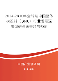 2024-2030年全球與中國(guó)整體模塑料（BMC）行業(yè)發(fā)展深度調(diào)研與未來趨勢(shì)預(yù)測(cè)
