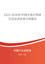 2023-2029年中國寶咯市場研究及投資前景分析報告