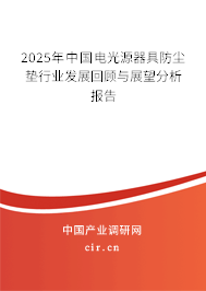 2025年中國(guó)電光源器具防塵墊行業(yè)發(fā)展回顧與展望分析報(bào)告