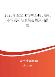 2025年版全球與中國(guó)48v電機(jī)市場(chǎng)調(diào)研與發(fā)展前景預(yù)測(cè)報(bào)告