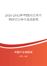 2025-2031年中國5G芯片市場研究分析與發(fā)展趨勢