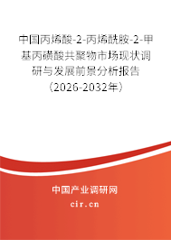 中國(guó)丙烯酸-2-丙烯酰胺-2-甲基丙磺酸共聚物市場(chǎng)現(xiàn)狀調(diào)研與發(fā)展前景分析報(bào)告（2026-2032年）