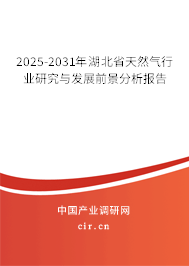 2025-2031年湖北省天然氣行業(yè)研究與發(fā)展前景分析報(bào)告