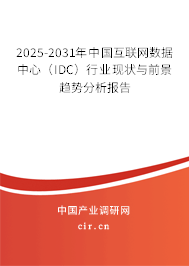 2025-2031年中國(guó)互聯(lián)網(wǎng)數(shù)據(jù)中心（IDC）行業(yè)現(xiàn)狀與前景趨勢(shì)分析報(bào)告