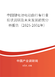 中國(guó)鋰電池電動(dòng)自行車行業(yè)現(xiàn)狀調(diào)研及未來(lái)發(fā)展趨勢(shì)分析報(bào)告（2025-2031年）