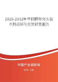 2026-2032年中國模塊化頭盔市場調(diào)研與前景趨勢報告