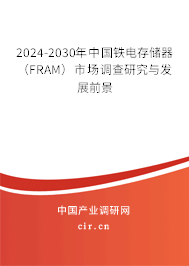 2024-2030年中國(guó)鐵電存儲(chǔ)器（FRAM）市場(chǎng)調(diào)查研究與發(fā)展前景
