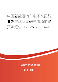 中國新能源汽車電子水泵行業(yè)發(fā)展現(xiàn)狀調(diào)研與市場前景預(yù)測報告（2025-2031年）