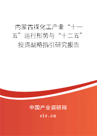 內(nèi)蒙古煤化工產(chǎn)業(yè)“十一五”運(yùn)行形勢(shì)與“十二五”投資戰(zhàn)略指引研究報(bào)告