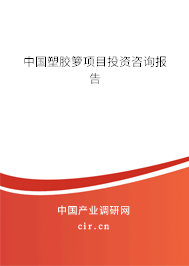 中國塑膠籮項目投資咨詢報告